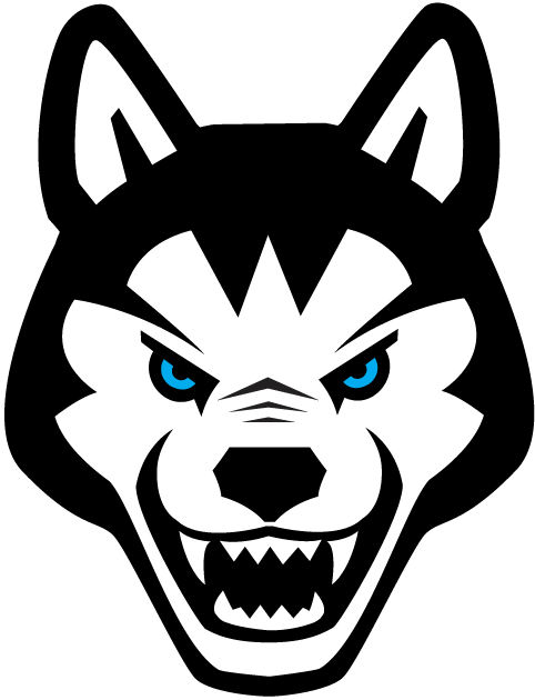 Northeastern Huskies 2001-2006 Alternate Logo t shirts iron on transfers